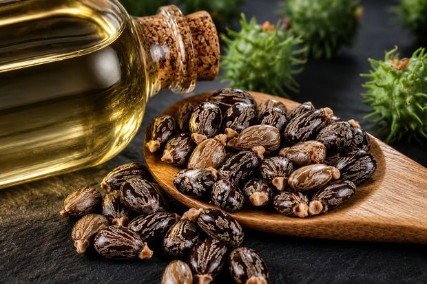 Castor Oil